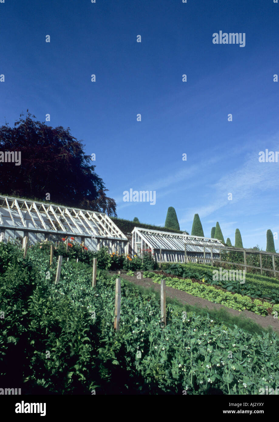 Vegetable Gardens At Drummond Castle And Gardens in Crieff  Perthshire Scotland Uk Stock Photo