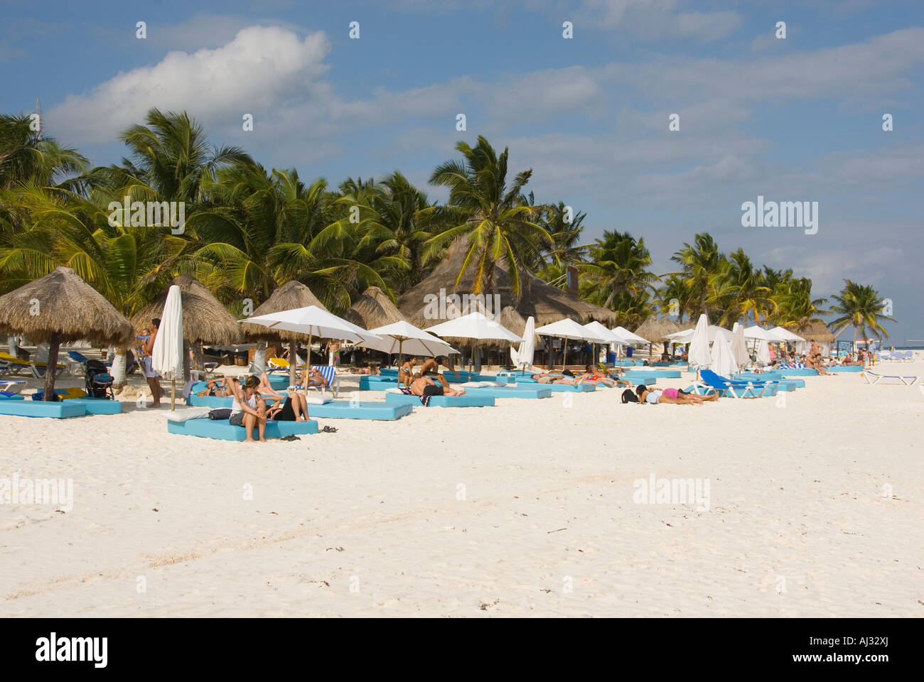 Palm Trees and Thatched Roof Cabana Huts of the Beach Bar ... Palm Trees and Thatched Roof Cabana Huts of the Beach Bar ...