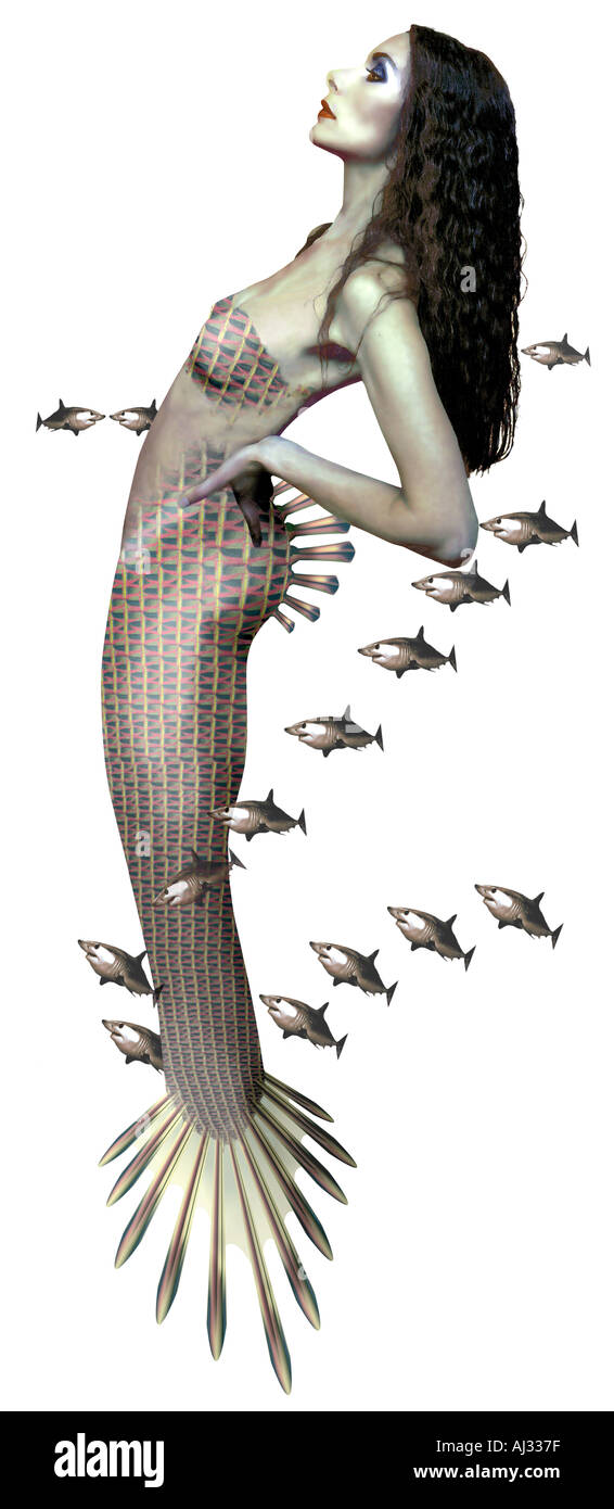 Mermaid with Sharks Stock Photo