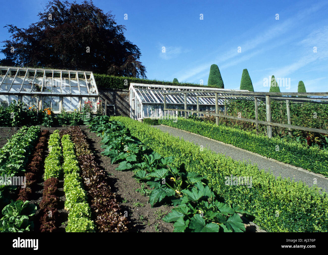 Vegetable Gardens At Drummond Castle And Gardens in Crieff  Perthshire Scotland Uk Stock Photo