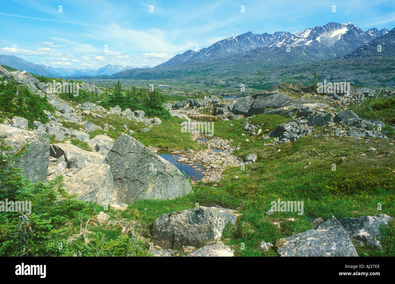 Rugged hillside in Alaska Stock Photo Alamy