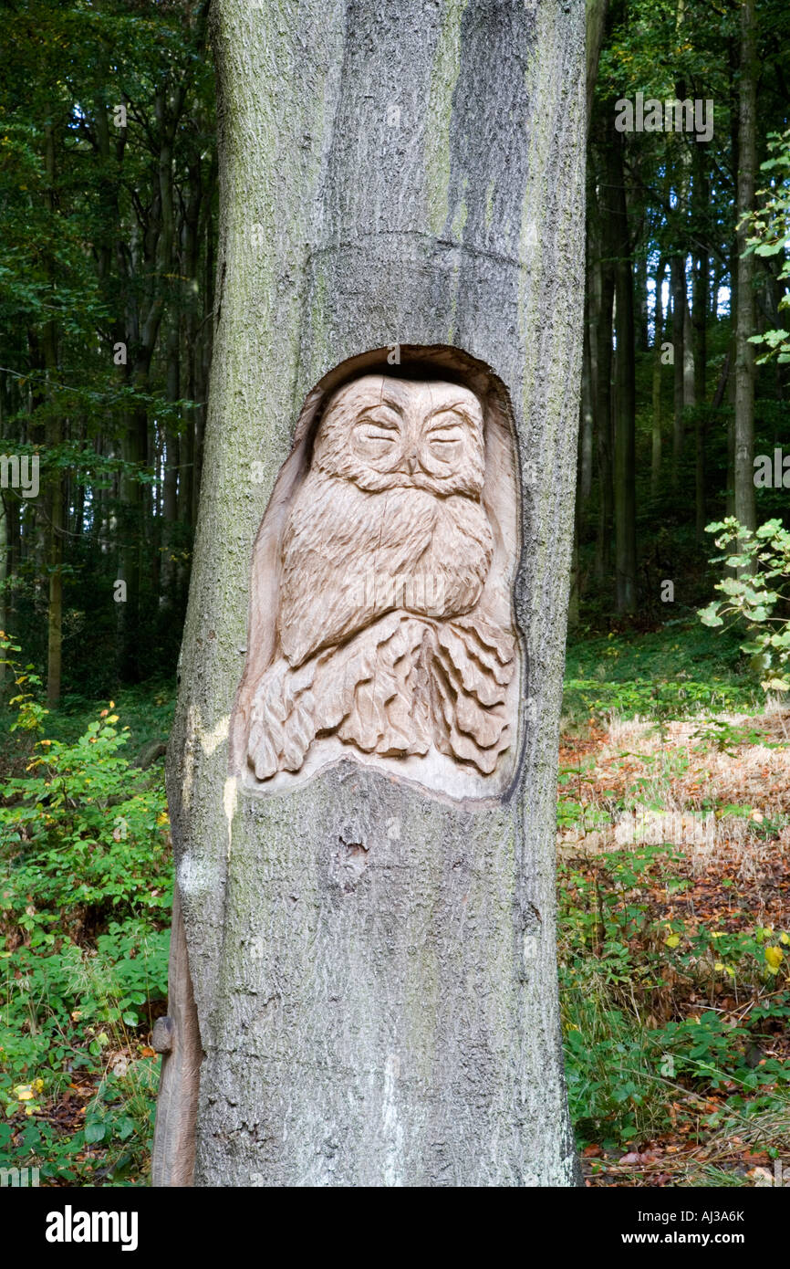 Wood carving in dead tree trunk Stock Photo