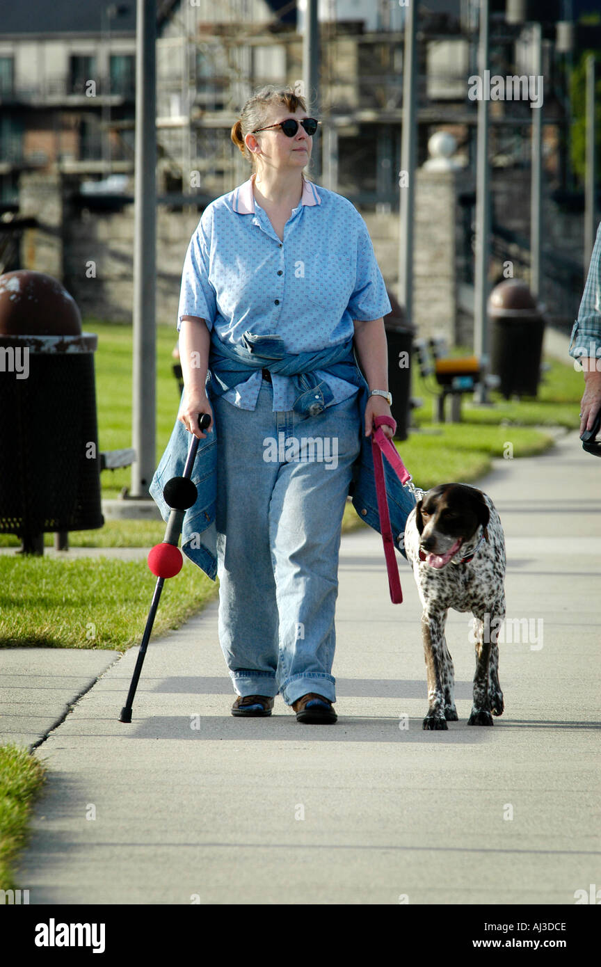 creative-cat70: illustration about a blind princess trying to cross the road  with her service dog