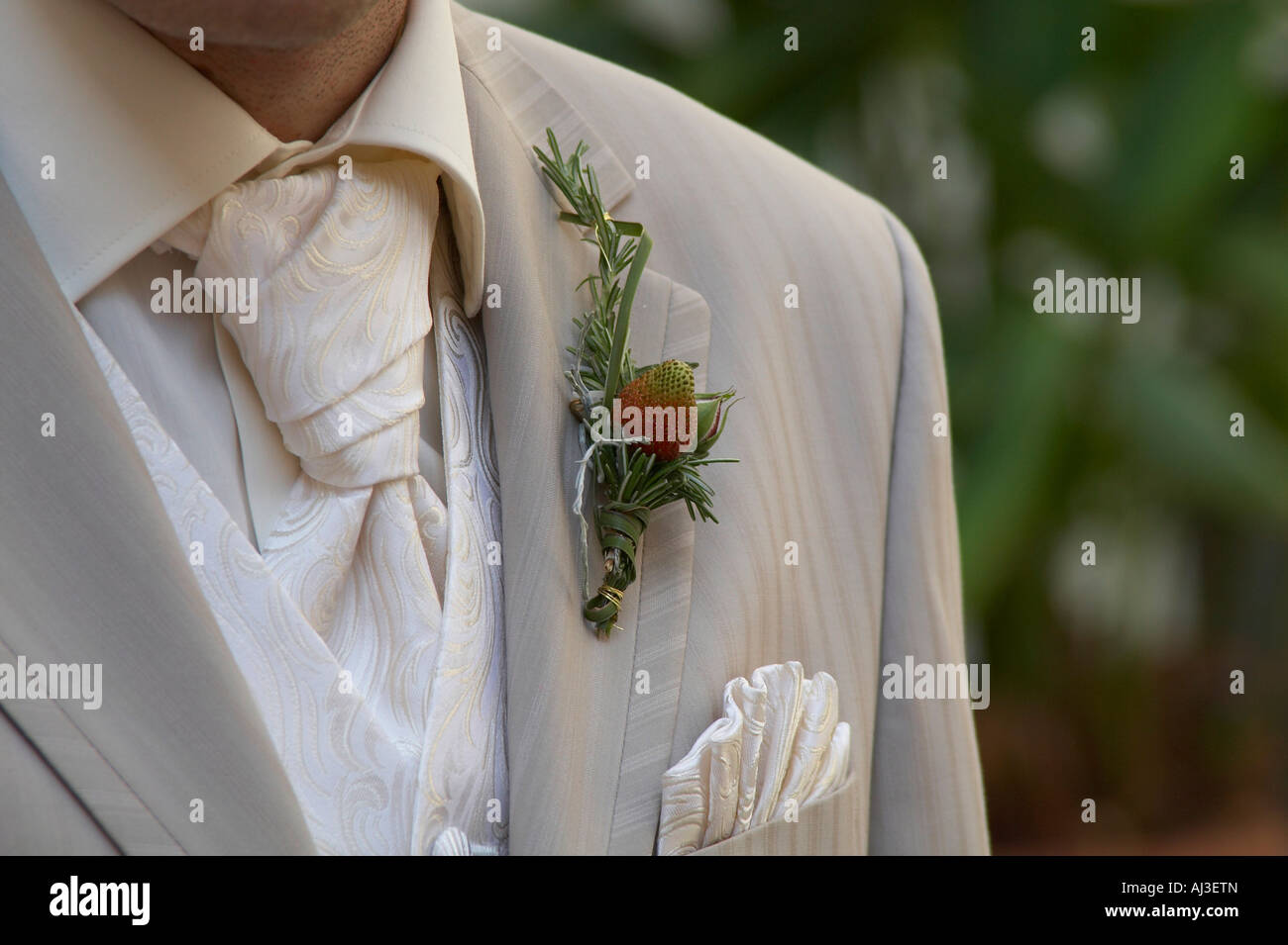bride groom wearing suit Stock Photo