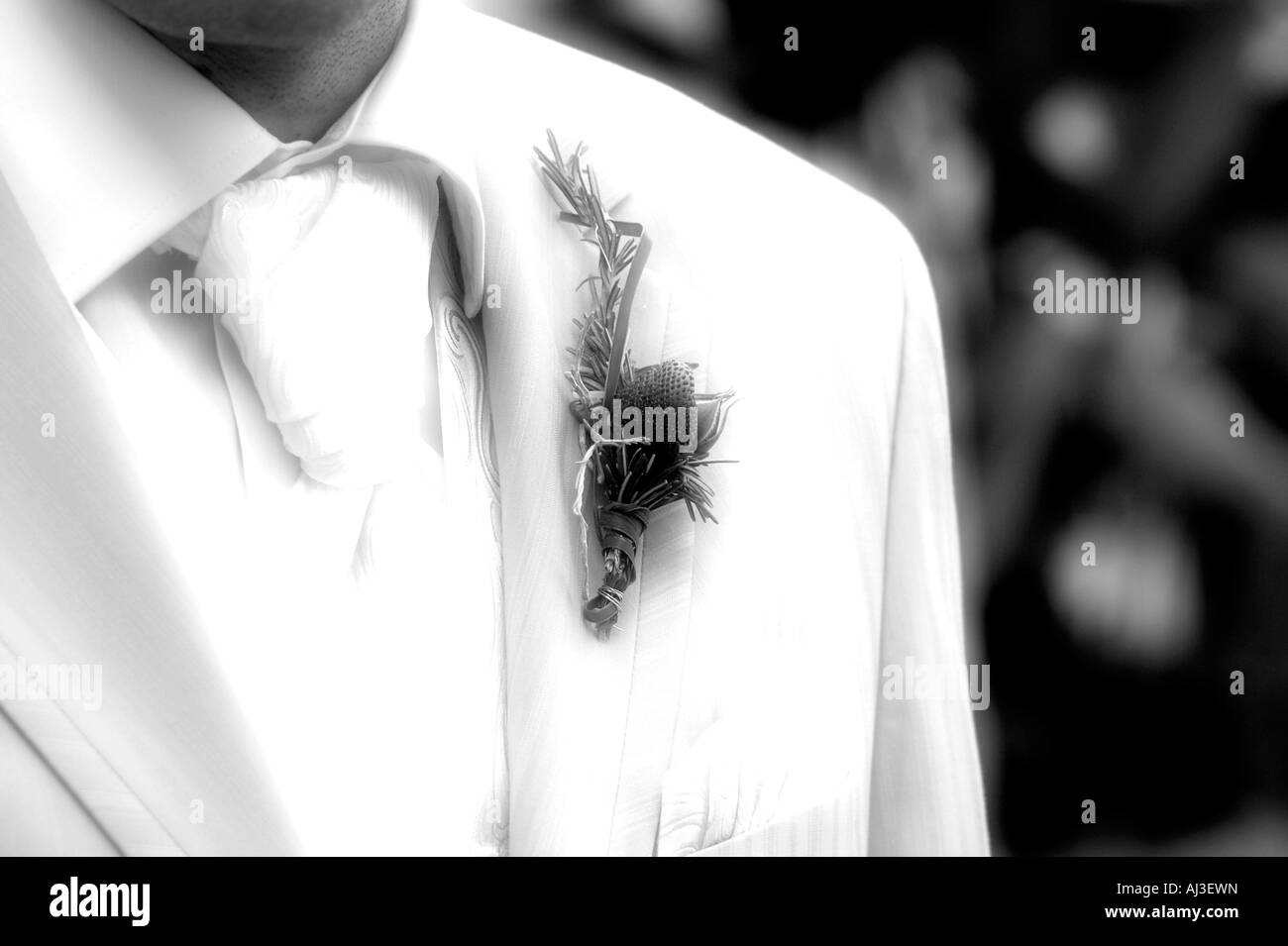 bride groom wearing suit Stock Photo - Alamy