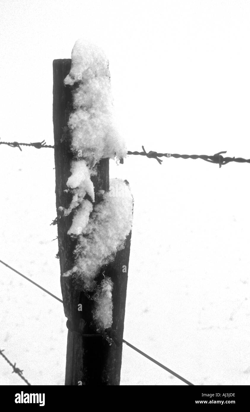 Snowed fence in central Argentina mountains. Black and white photo Stock Photo