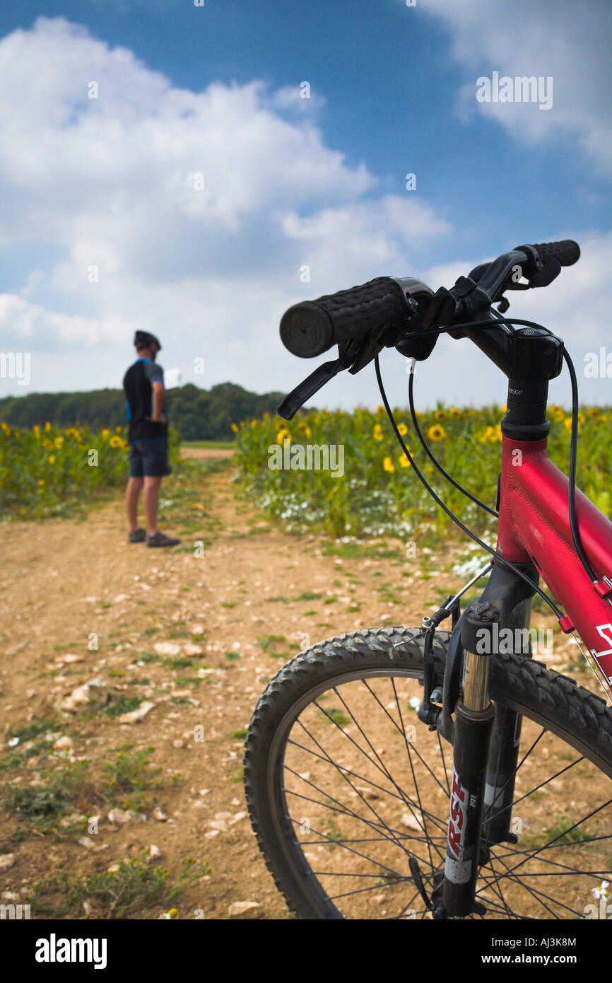 Cycle track mtb sale
