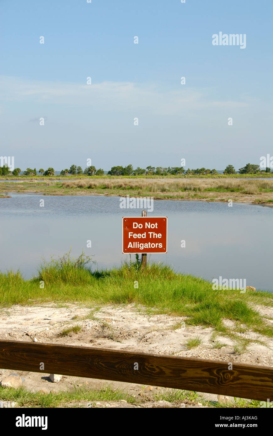 Do Not Feed The Alligators Warning Sign - 7x10 Inch Aluminum Novelty Sign, Indoor/Outdoor, Made In USA, Florida Gators Humor Sign - View #9