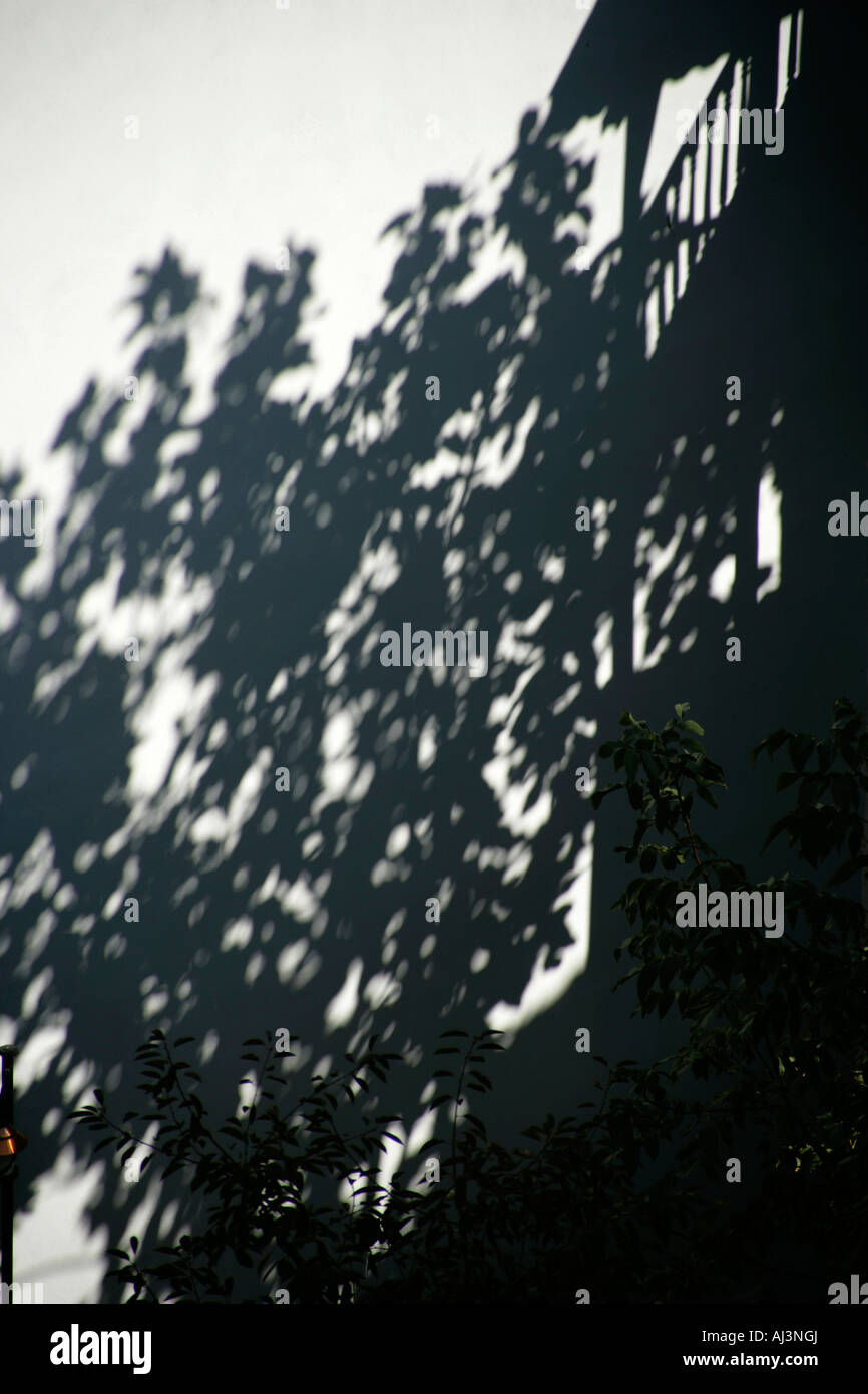 Shadow in the wall hi-res stock photography and images - Alamy
