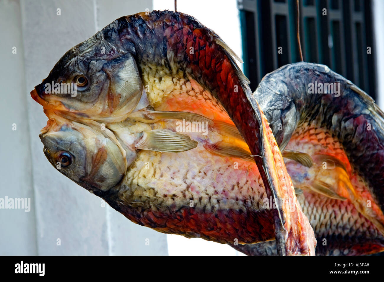 Split fish hi-res stock photography and images - Alamy