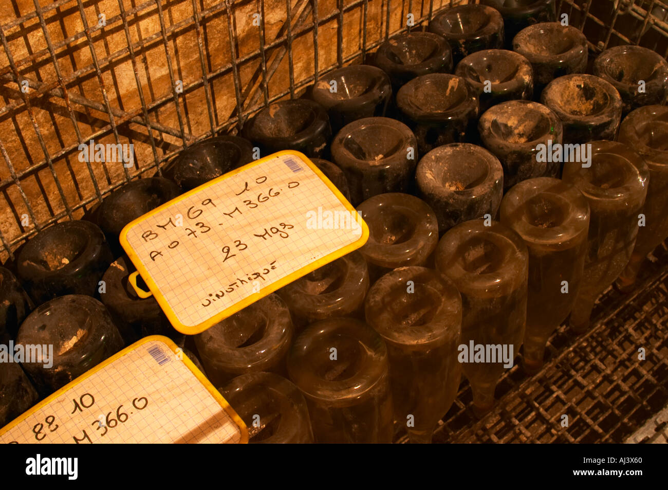The Vinotheque (wine library) with small numbers of older bottles