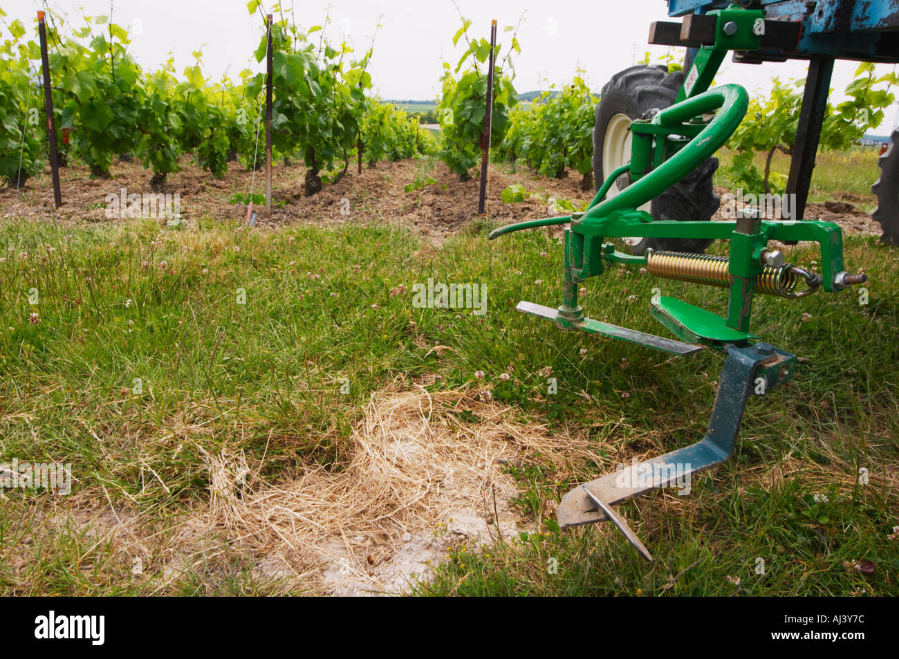 A vineyard tractor equipped with knifes to mechanically cut off remove
