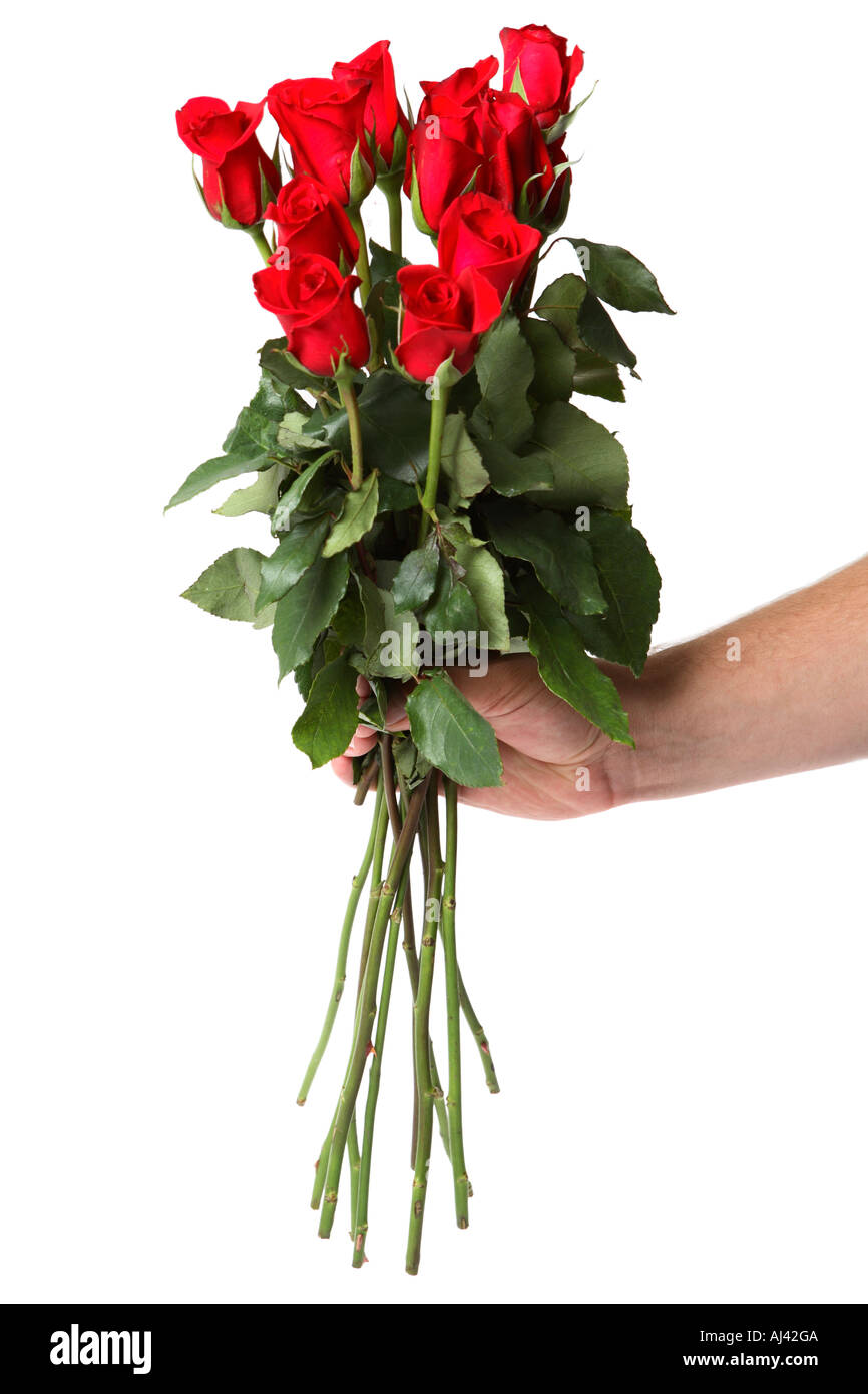 Hand holding a dozen long stem red roses Stock Photo