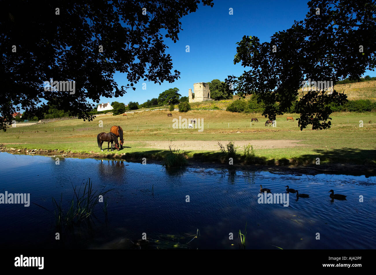 River Derwent and Ayton East Ayton Valley Scarborough Yorkshire