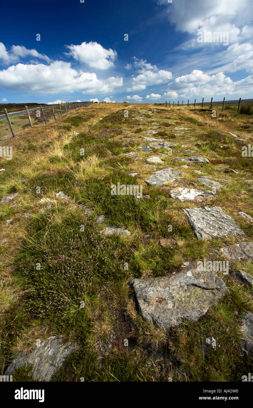 Wheeldale moor roman road hires stock photography and images Alamy