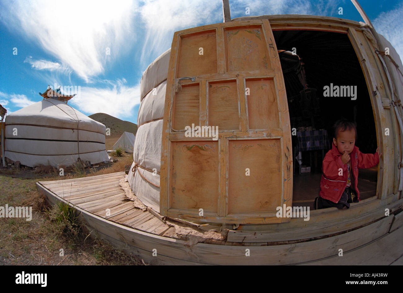 A kid looks out from Mongolian traditional dwelling ger or yurt. Touristic shop. Yolyn am. South Gobi desert. Mongolia Stock Photo