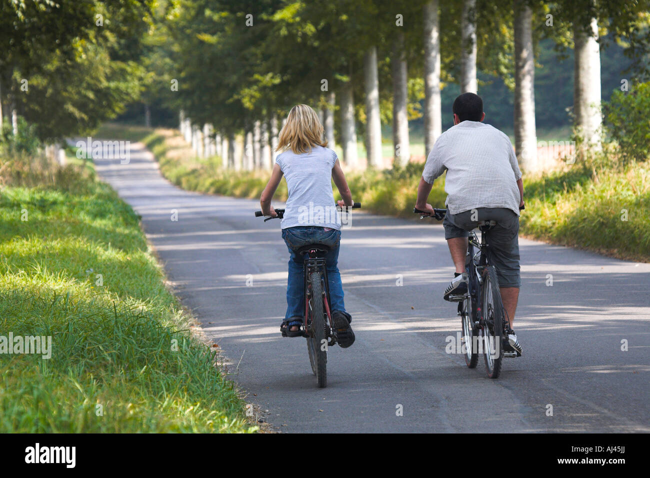 Cyclists on a Dorset country road, Dorset Stock Photo