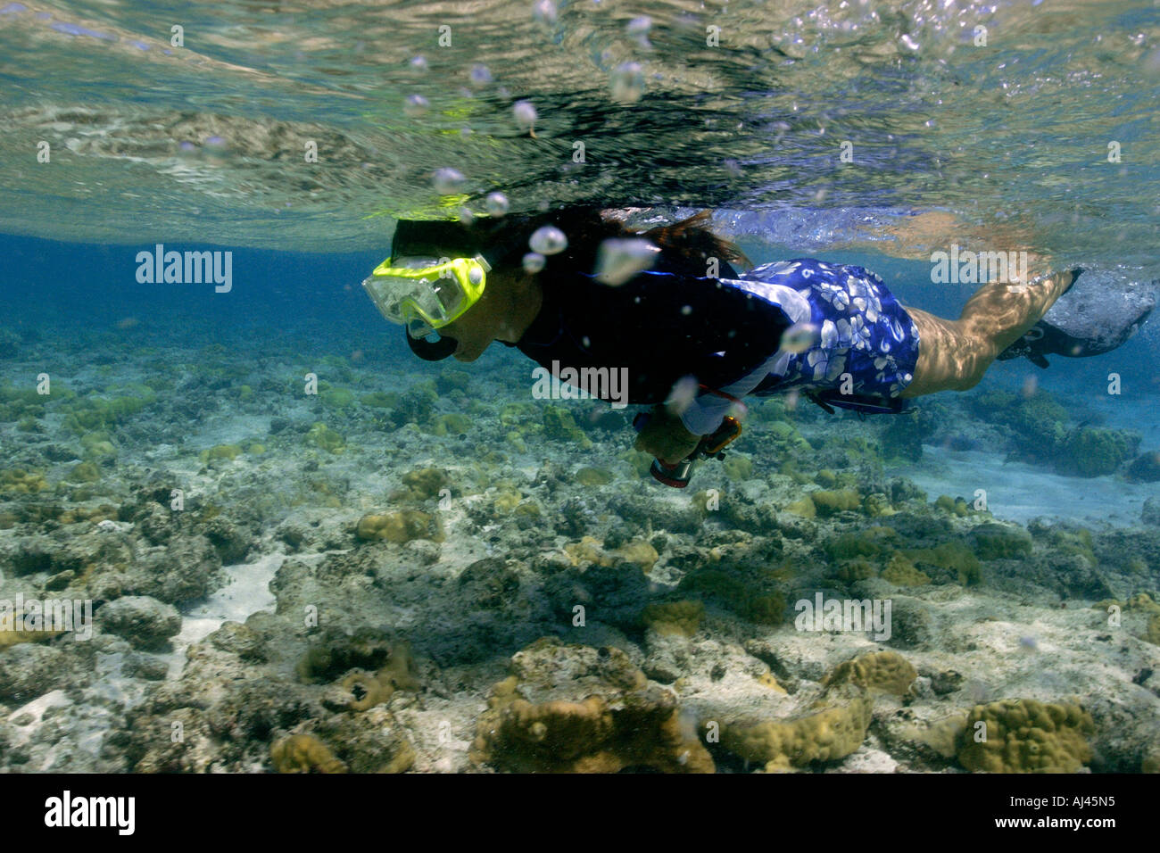 Free diver swims through reef shallows Ailuk atoll Marshall Islands Pacific Stock Photo
