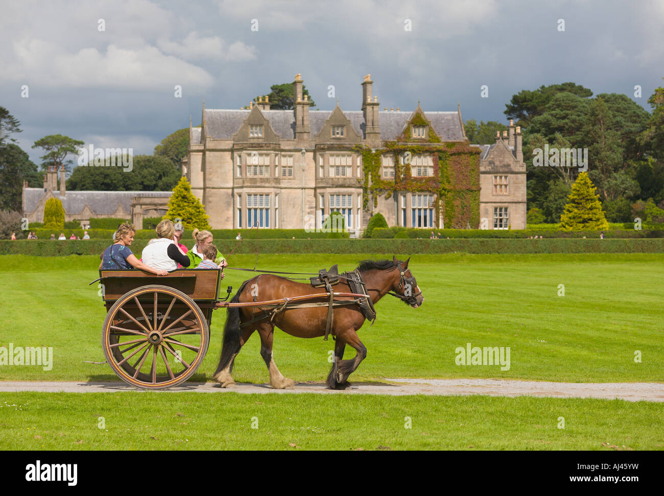Jaunting Cars at Muckross House Killarney County Kerry Ireland Stock
