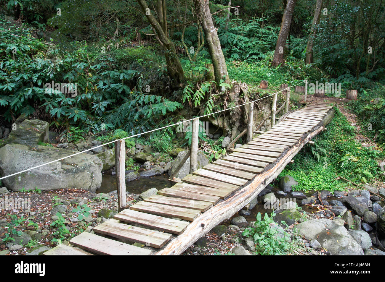 Wooden bridge over stream near Salto do Prego waterfall on Sao Miguel