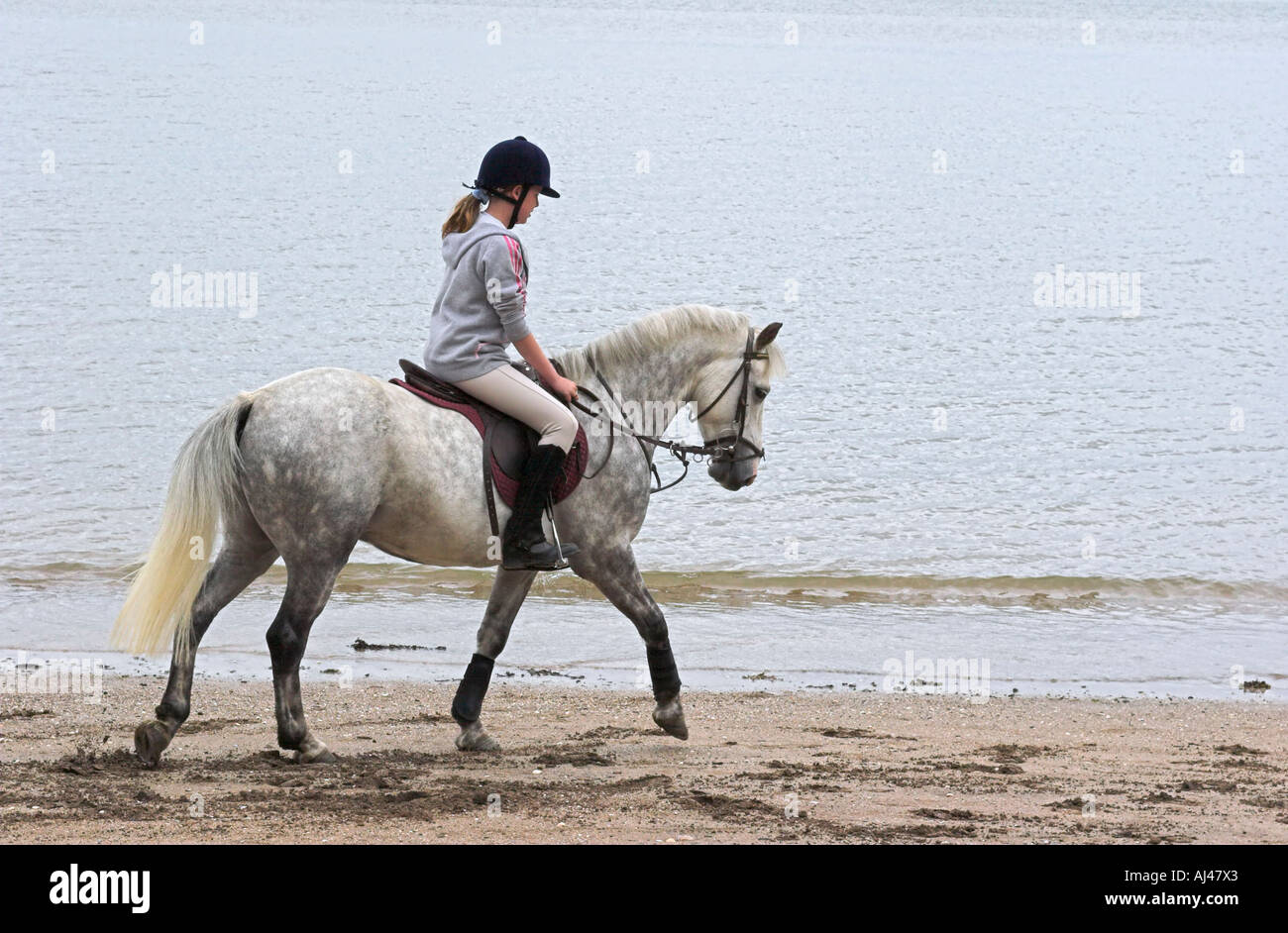 Girl riding horse at seaside Stock Photo