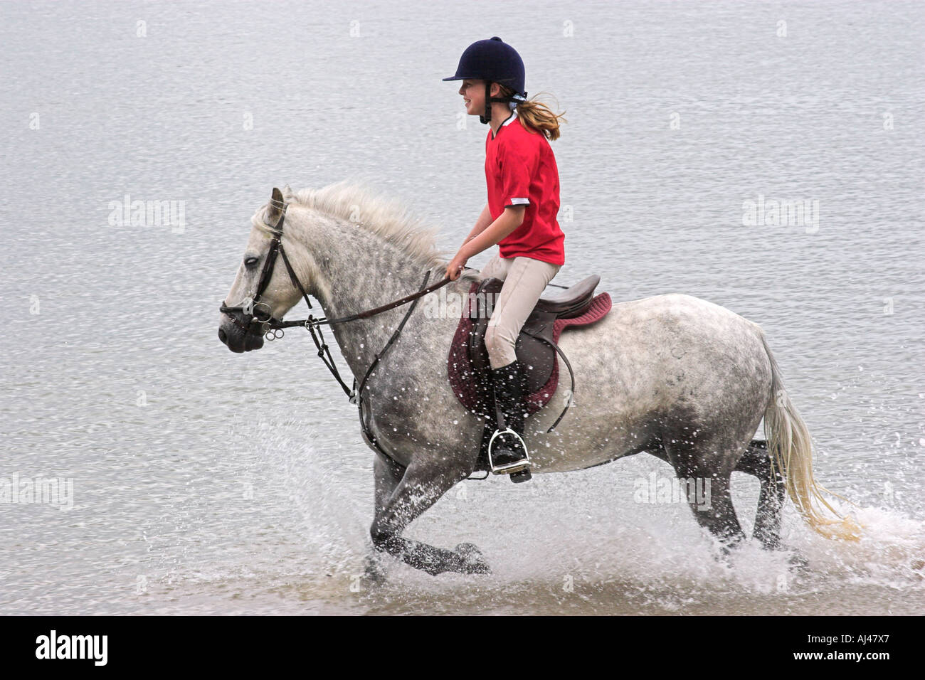 Girl riding horse in sea Stock Photo