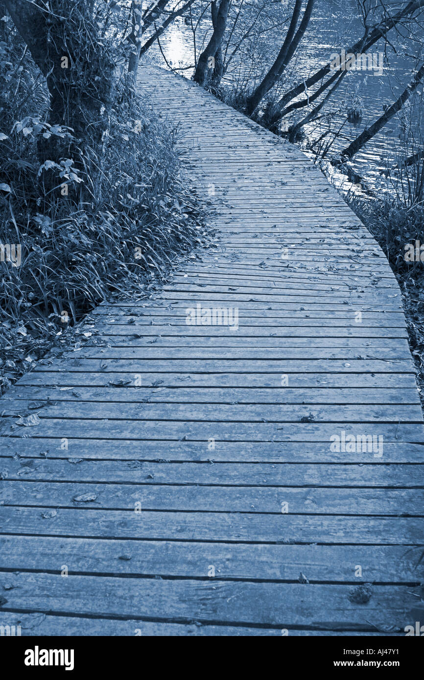 Boardwalk at side of river Blue tone Stock Photo
