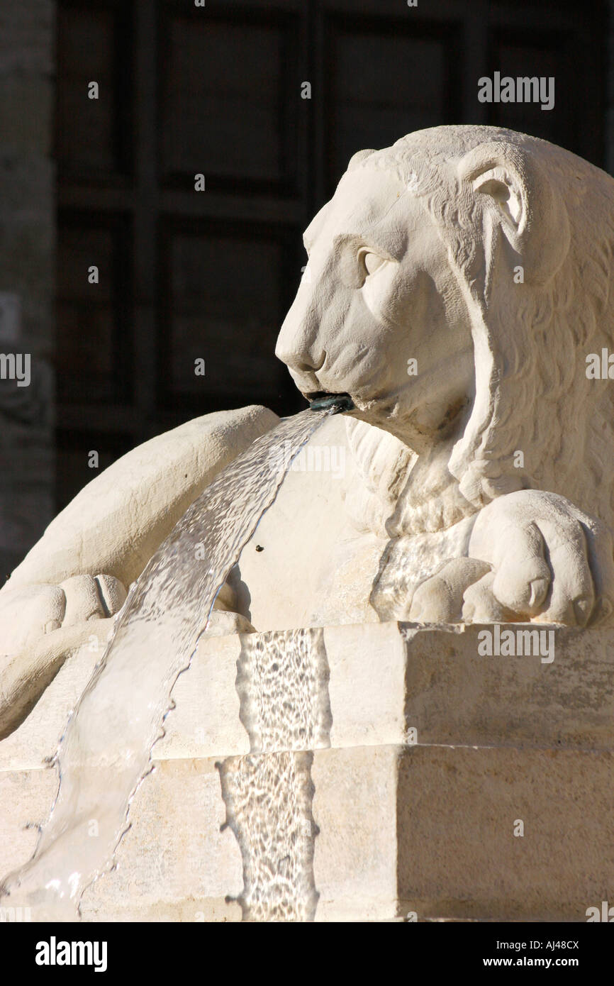 Carved stone lion fountain, Piazza Frederico 11  in the medieval town of  Jesi ,Le Marche  Italy Stock Photo