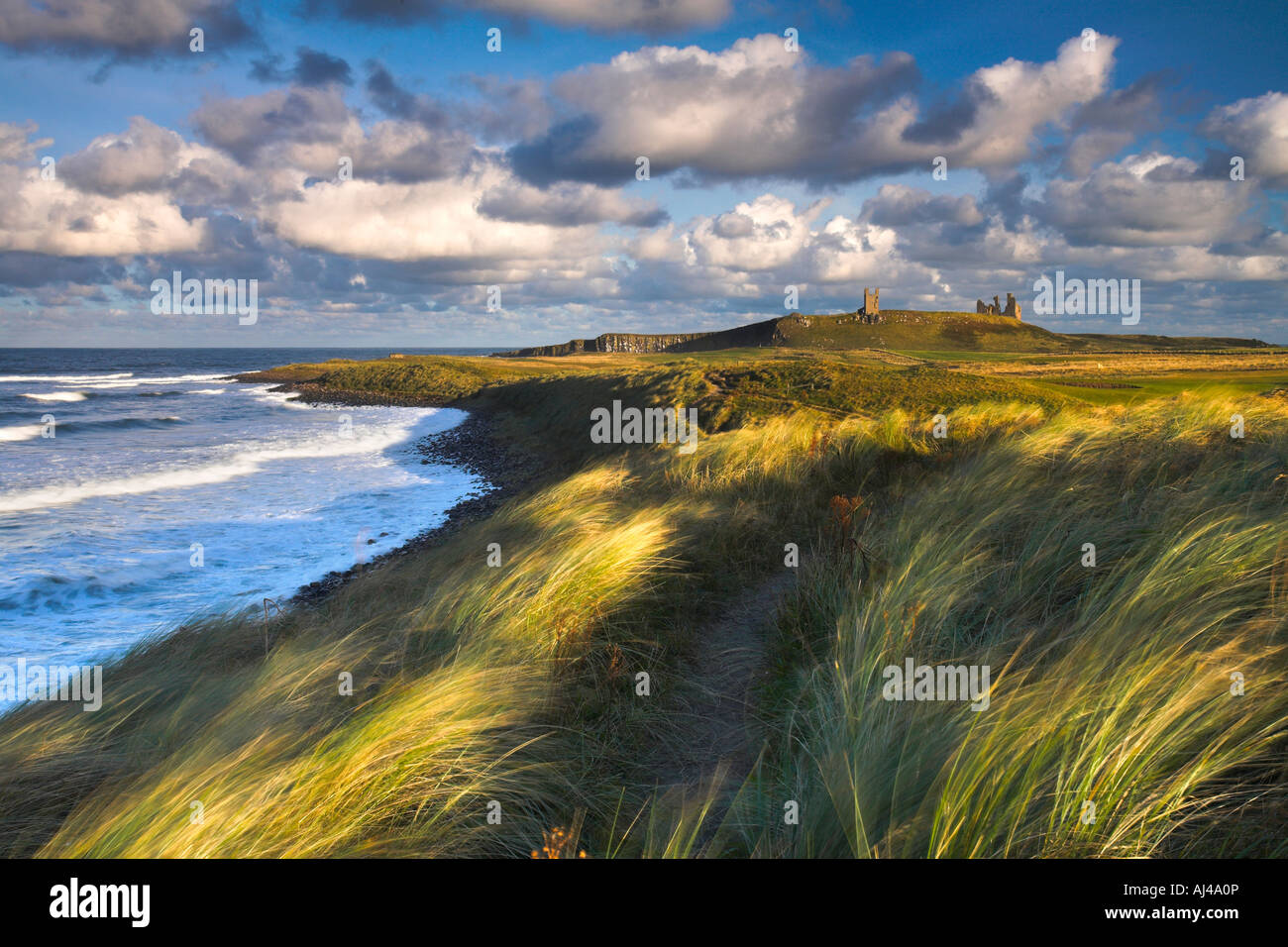 Blustery afternoon on the Northumberland coast at Dunstanburgh Stock Photo