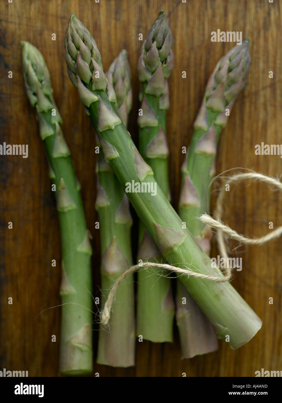 Asparagus shot with Hasselblad medium format digital Stock Photo