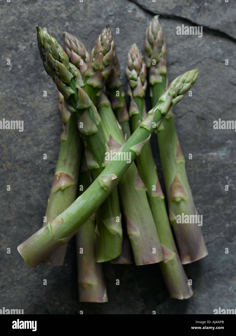Asparagus shot with Hasselblad medium format digital Stock Photo
