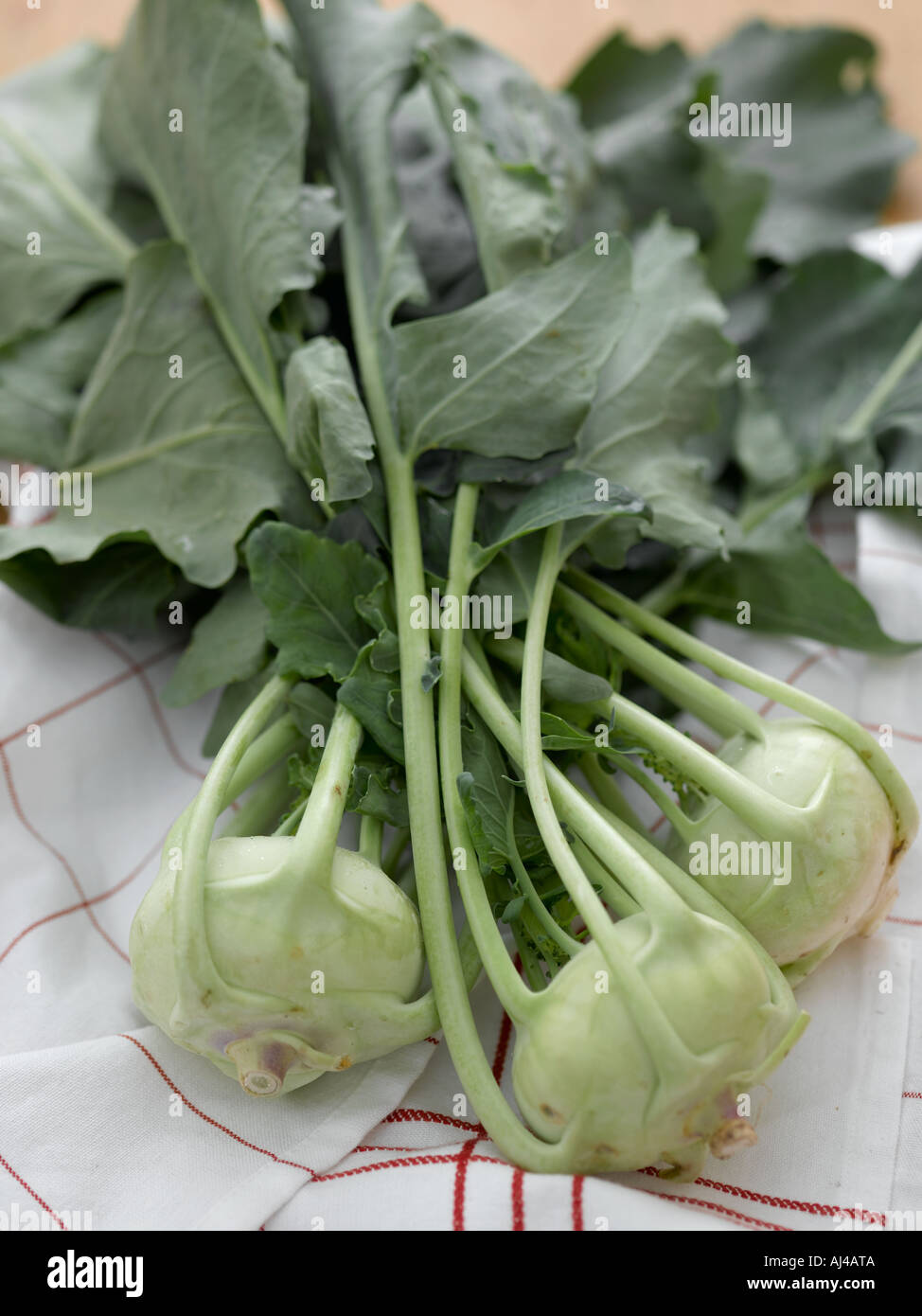 Fresh kohl rabi on white and red linen cloth - high end Hasselblad 61mb digital image Stock Photo