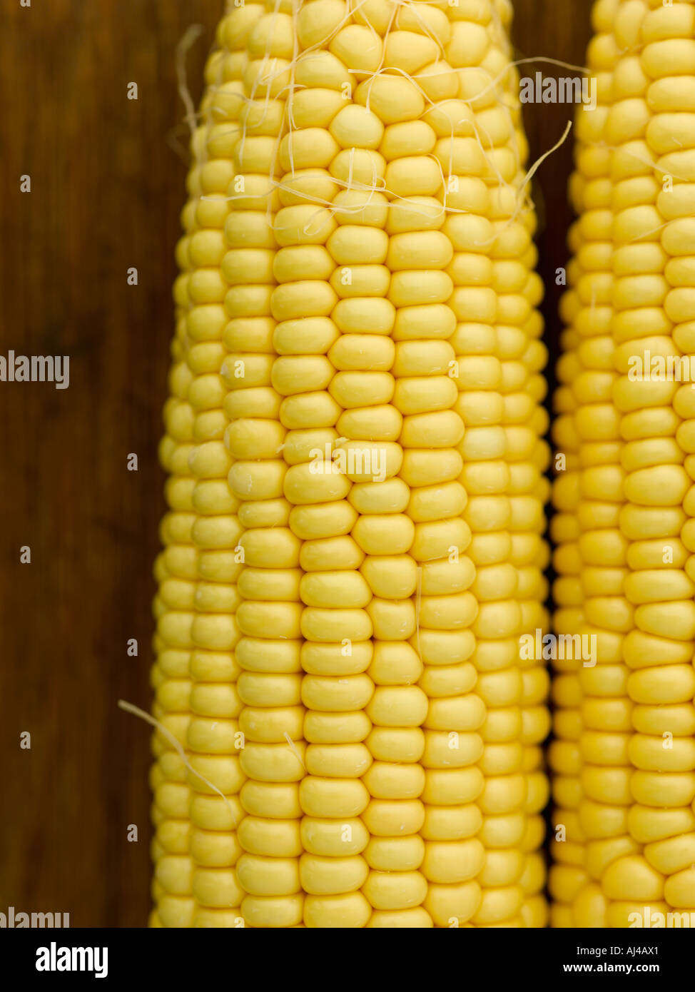 Corn on the cob - high end Hasselblad 61mb digital image Stock Photo