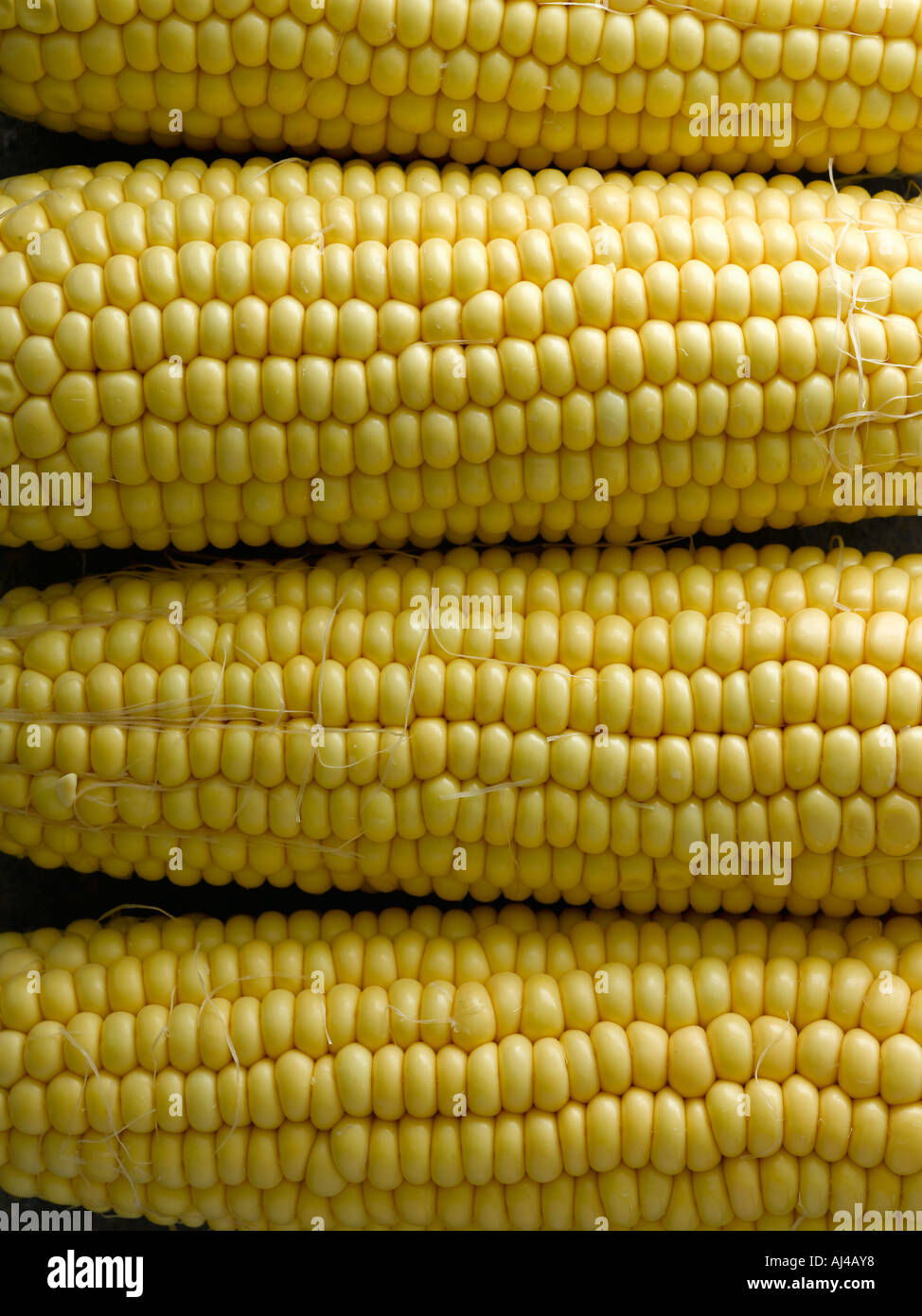Corn shot with Hasselblad medium format digital Stock Photo