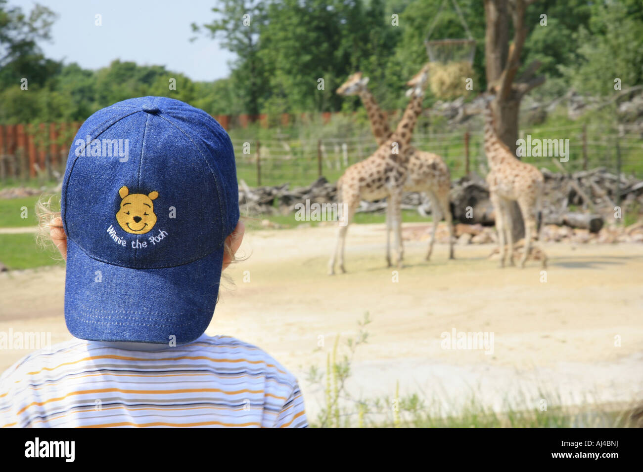 Boy in the zoo hi-res stock photography and images - Alamy