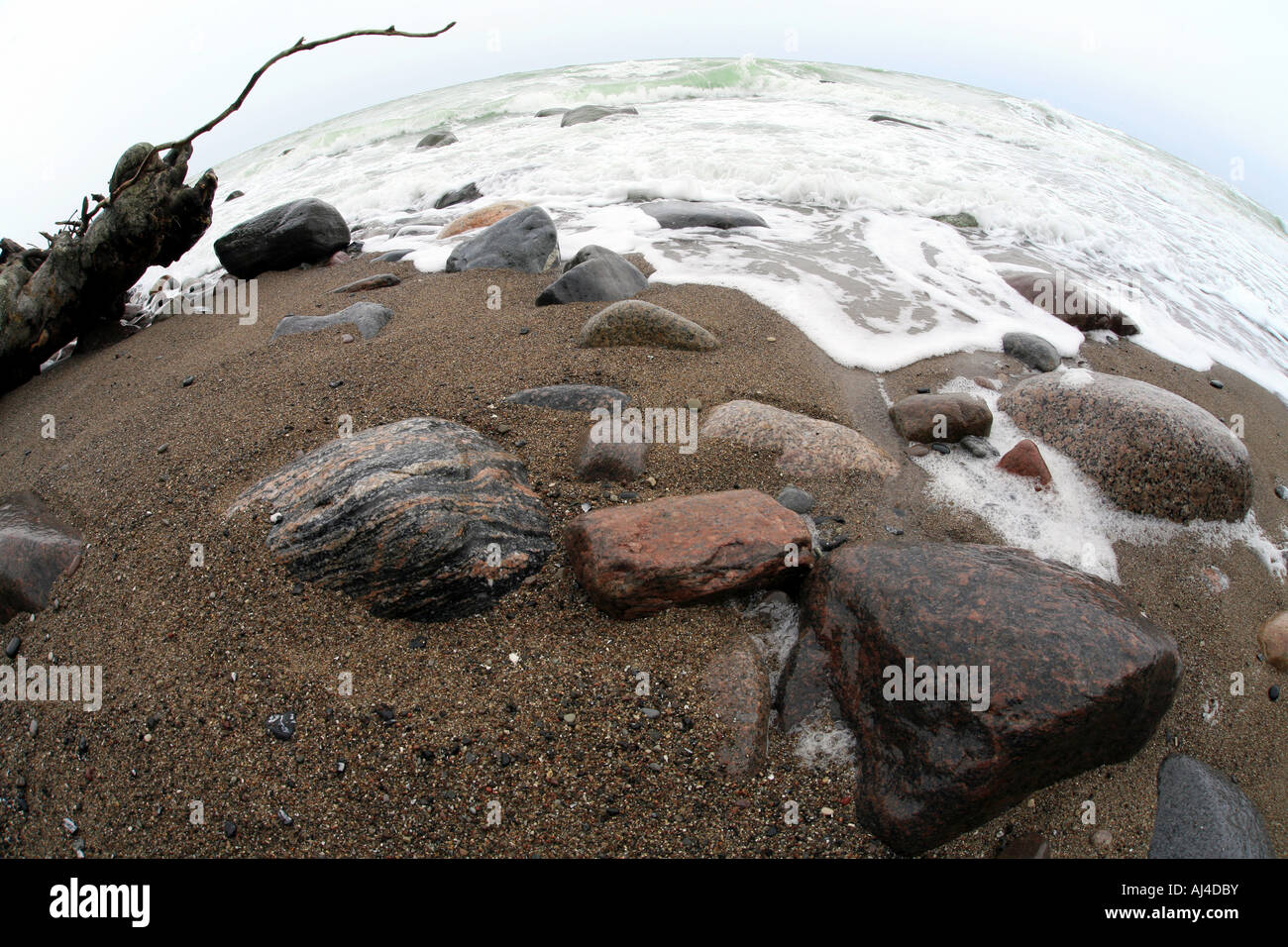 Baltic Sea beach on Ruegen Germany NP Jasmund Stock Photo - Alamy