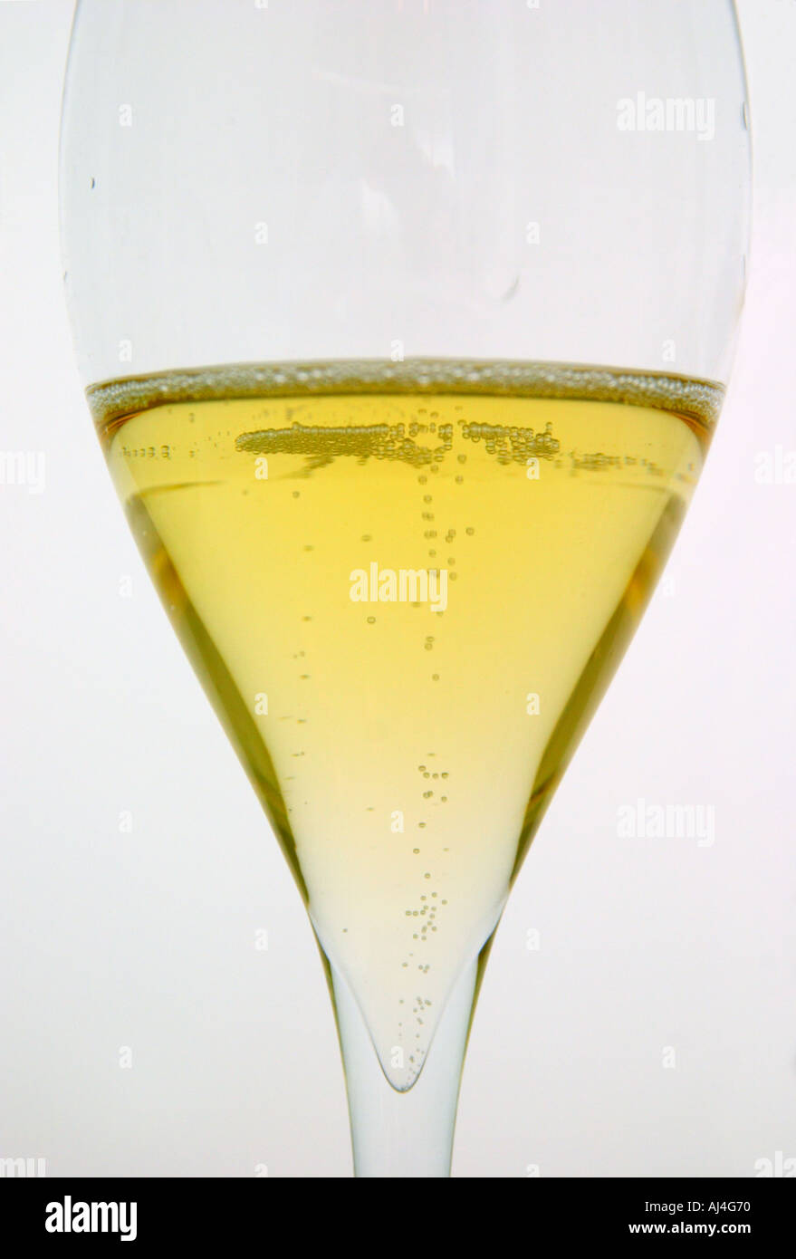 Analytical wine tasting in a neutral white environment a backlit white