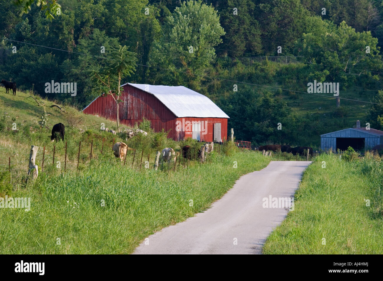 Narrow Country Lane Running Past Small Hillside Farm with Red Barn and Cattle Near New Amsterdam Indiana Stock Photo
