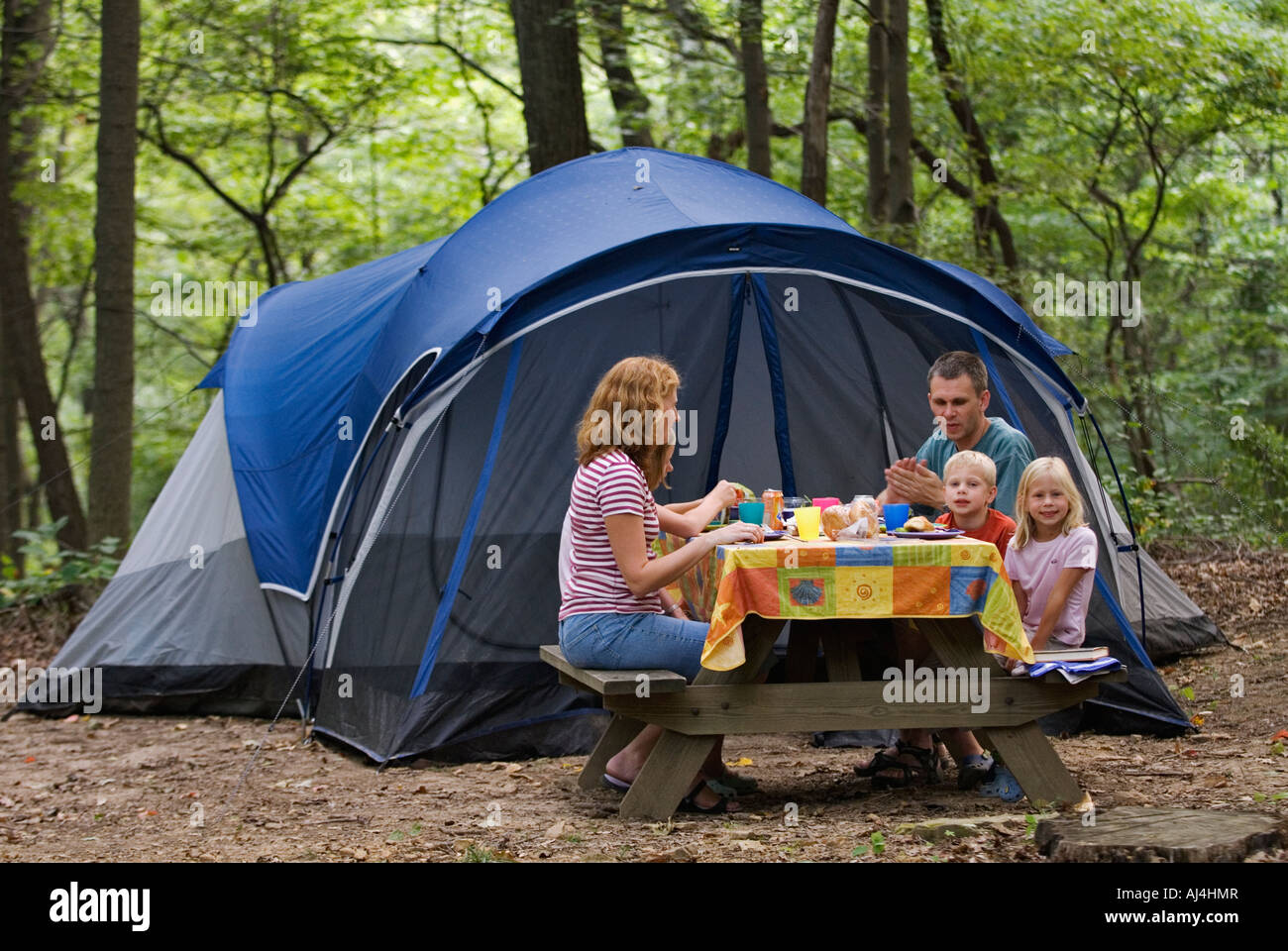 Picnic top table tent