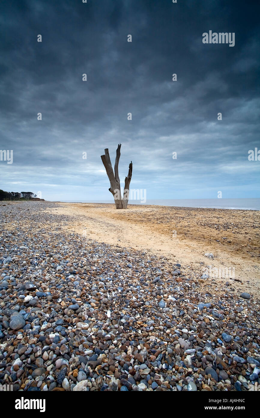 Benacre, Suffolk (Portrait Stock Photo Alamy