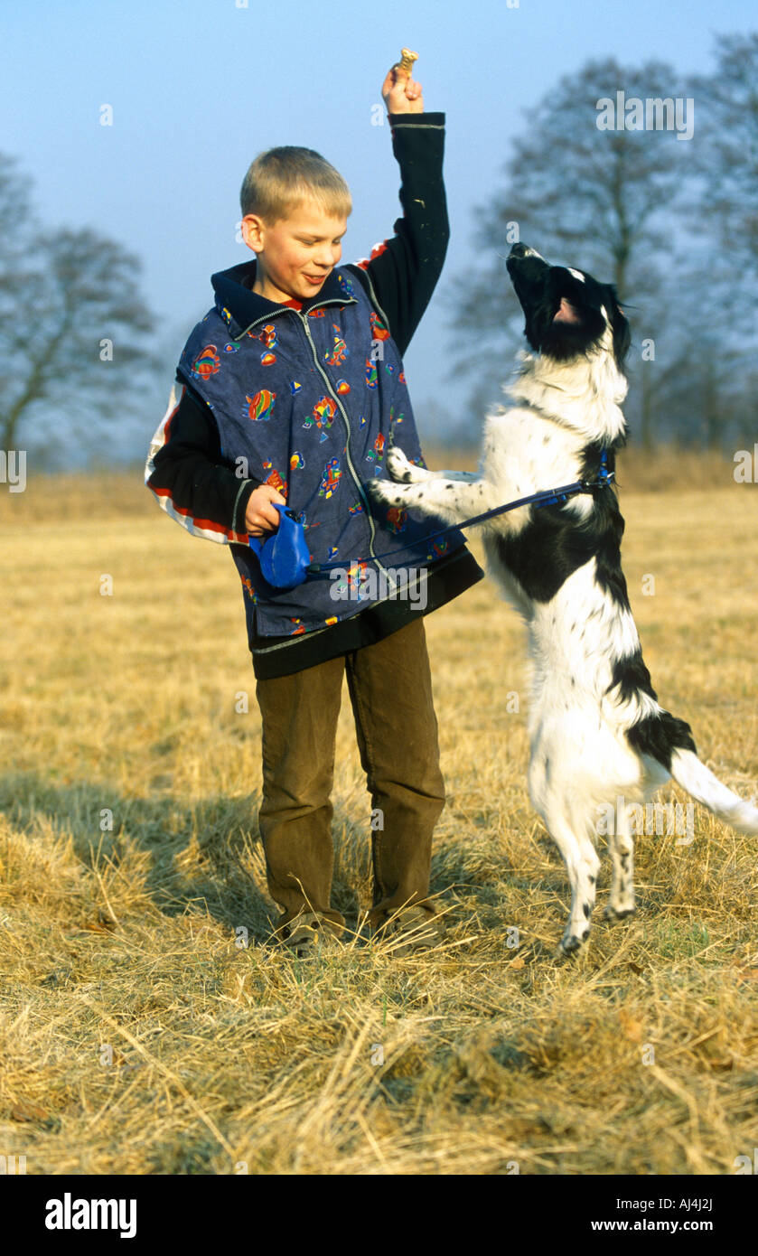 a young boy making his dog to stand on his hind legs and beg Stock Photo