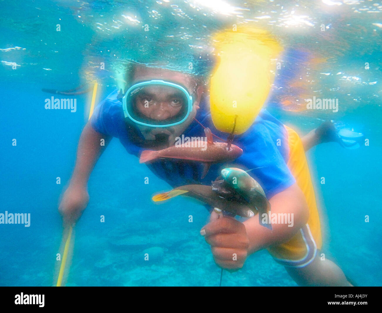 Native man uses simple spear Hawaiian sling to hunt fish while breath hold diving Stock Photo