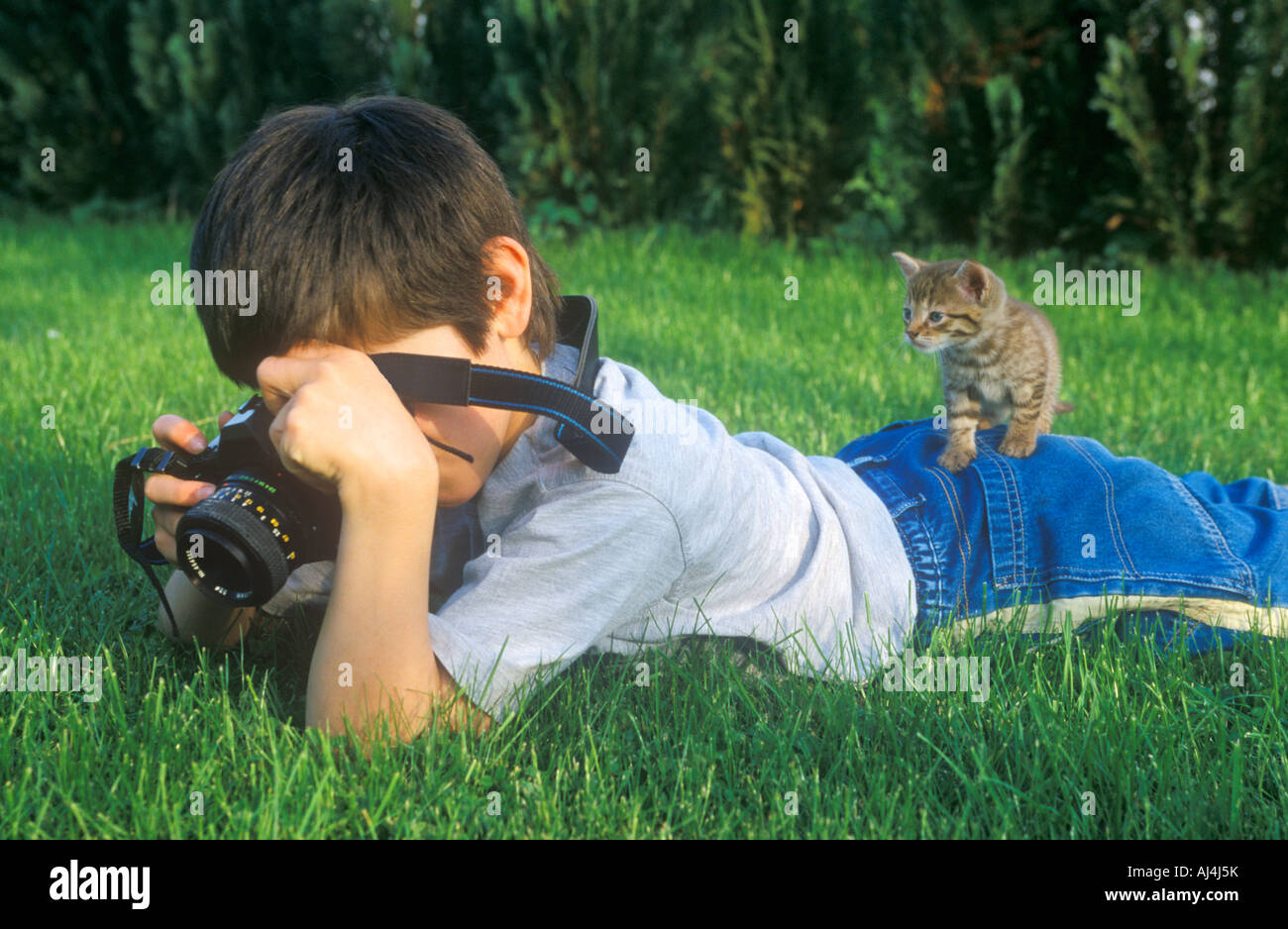 a young boy is lying on a lawn taking photographs while a nosy kitten is sitting on his back watching him Stock Photo