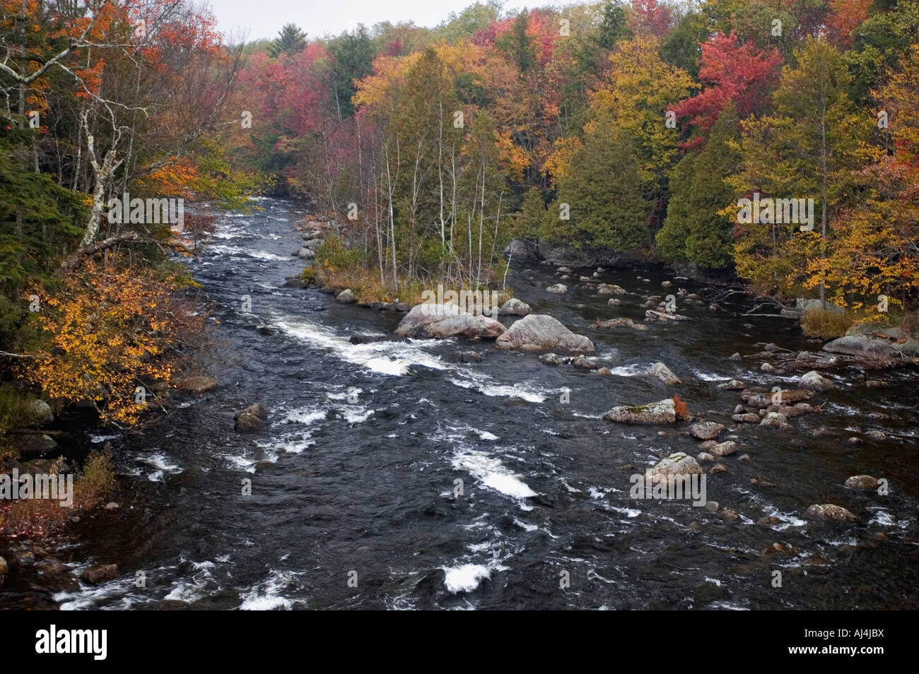 Autumn Color on the Oswegatchie River Adirondack Park New York Stock