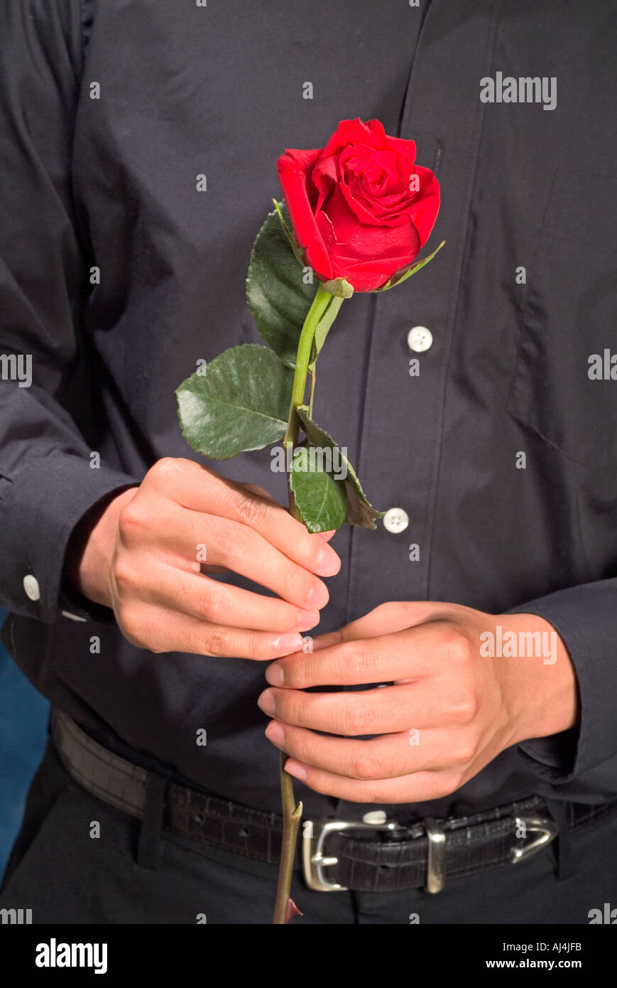 Man Holding Single Red Rose Stock Photo 4772602 Alamy
