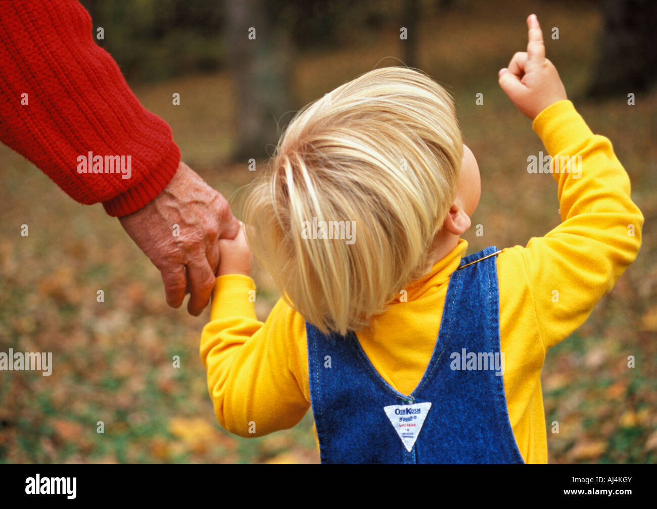 Young Boy Holding Grandfathers Hand and Pointing Up in the Air Stock Photo