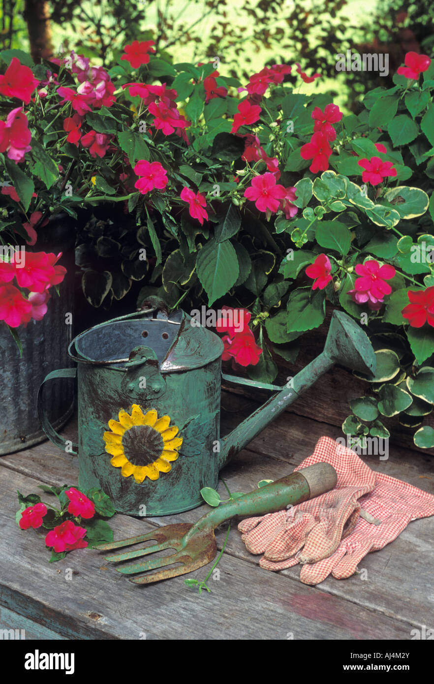 Gardening Set Up Antique Watering Can Garden Gloves Cultivator and
