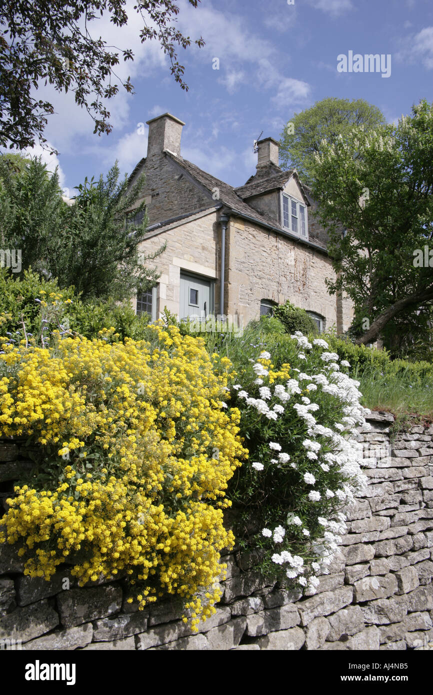 Plants growing on the wall out side a cotswold cottage in the vollage of Naunton Stock Photo