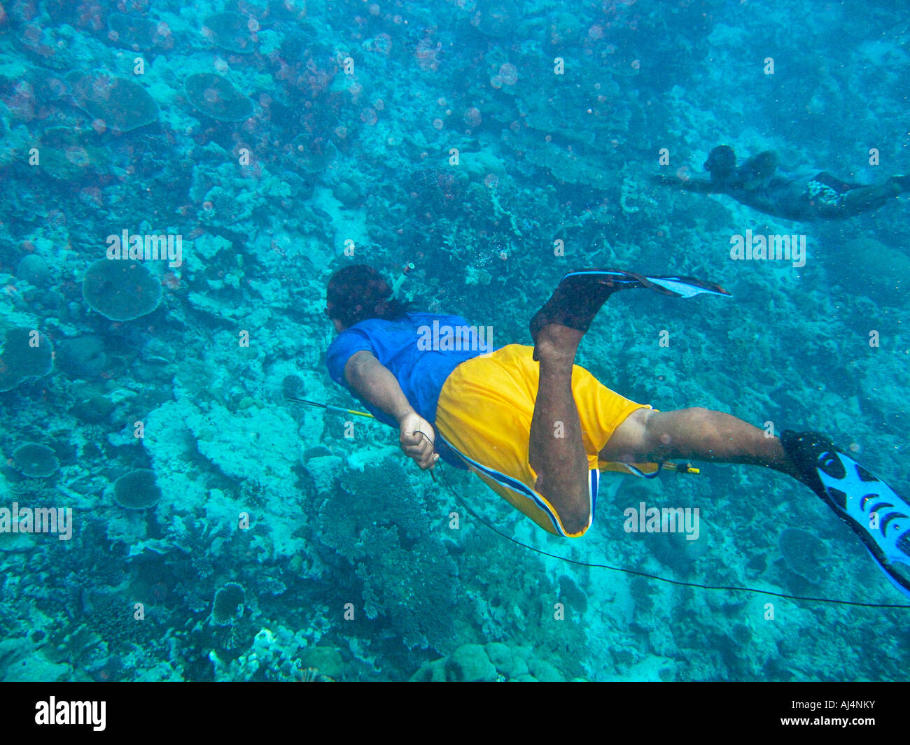 Local man uses simple spear to hut fish while breath hold diving in Kosrae Federated States of Micronesia FSMMicronesia FSM Stock Photo