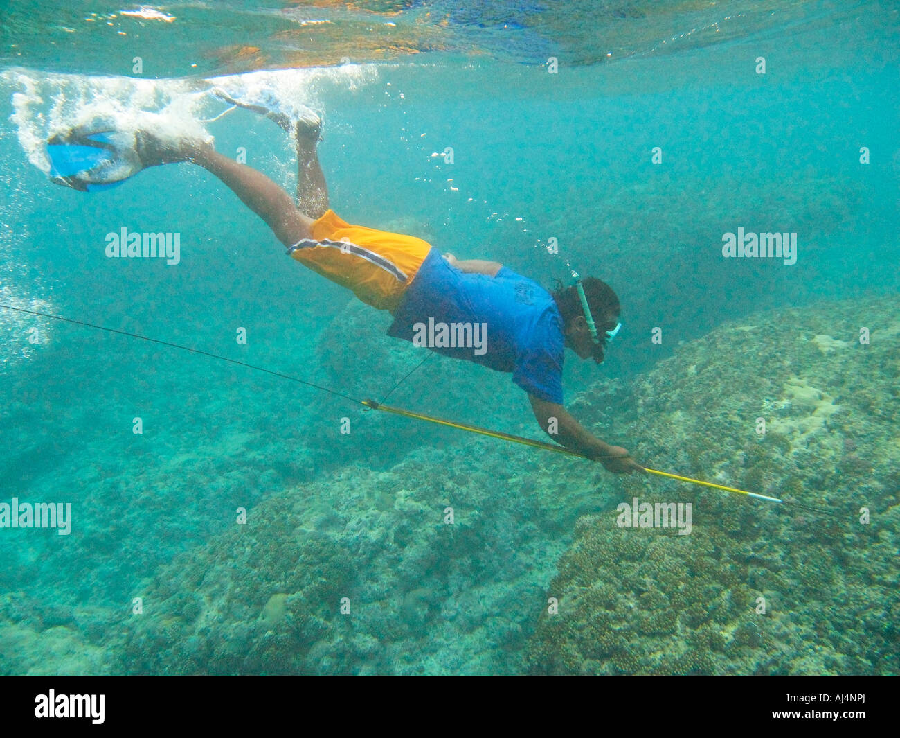 Local man uses simple spear to hut fish while breath hold diving in Kosrae Federated States of Micronesia FSM Stock Photo